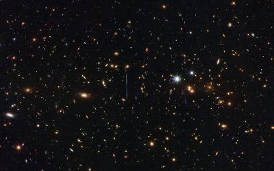 Faculty positions – ATRAE program