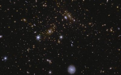 Euclid opens data treasure trove to study the Dark Universe