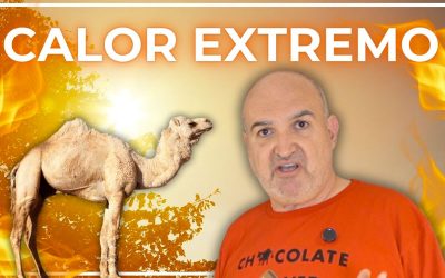 Is it true summer was ALWAYS this HOT?