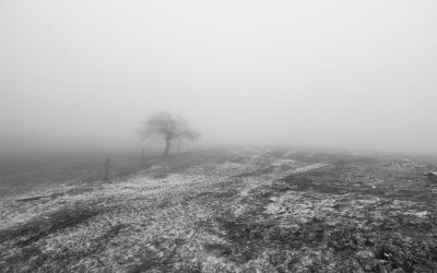 Statement on the Situation in Gaza by the Following Members of the IFT